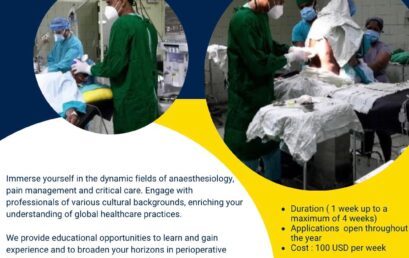 Electives in Anaesthesiology of International Medical Students